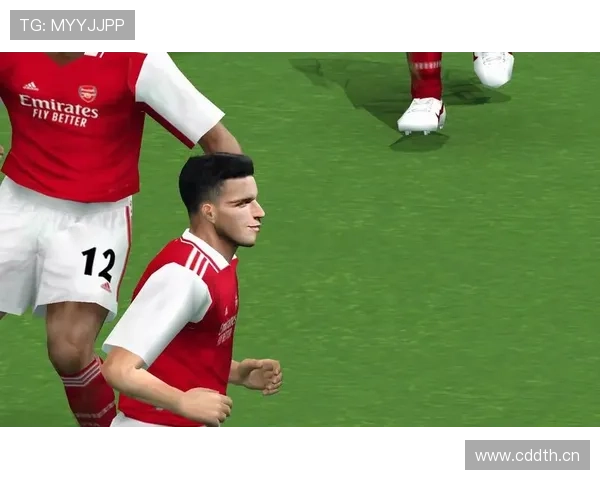 帕利尼亚 vs 赖斯：覆盖能力与全面性对比分析