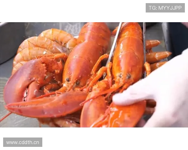 胡金秋家里的那个地下酒窖也太豪横了，谁想到篮球好手私生活这么奢侈